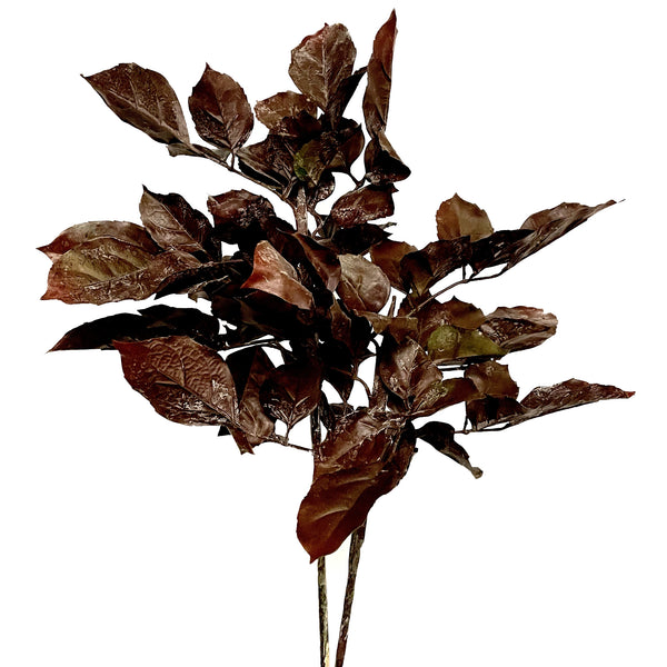 Beech Leaf Stem - Dark Brown