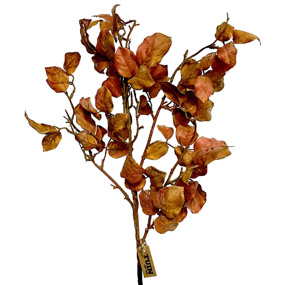 Rose Leaf Spray - Rust