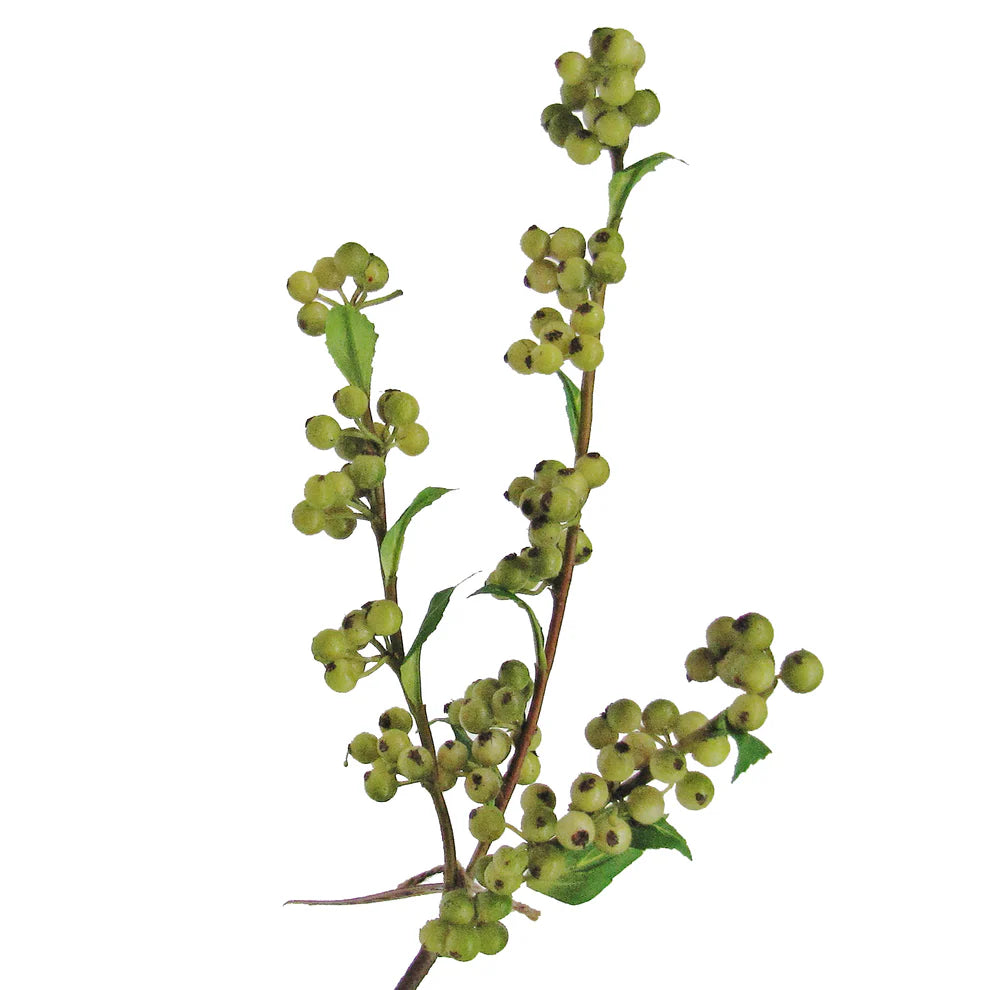 Berry Stem - Green (22")