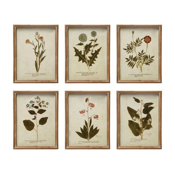 Framed Wildflower Prints - Six Styles Available