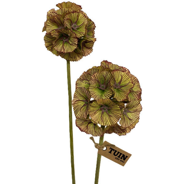 Allium Stem - Burgundy