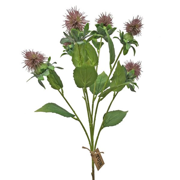 Safflower Stem - Purple