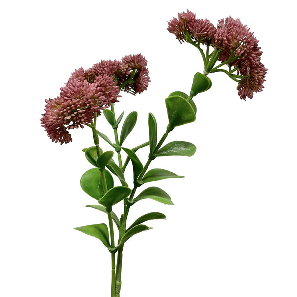 Sedum Stem - Mauve