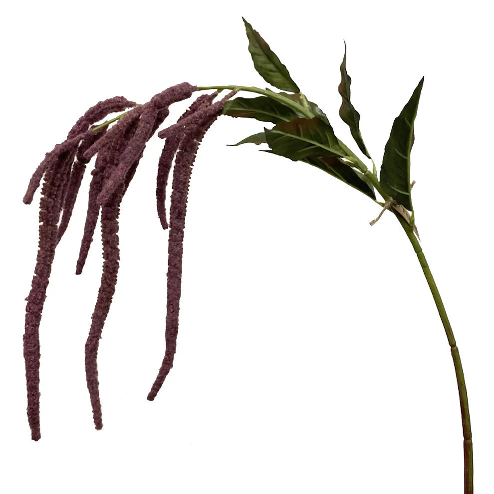 Weeping Amaranth Stem - Mauve