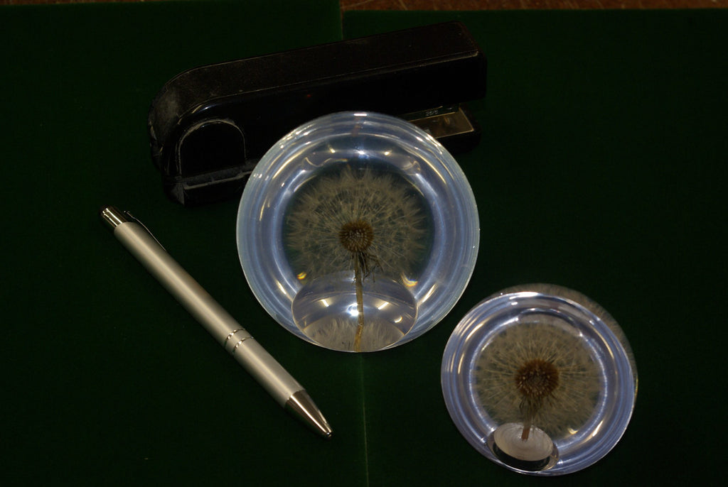 Dandelion Paperweight (Two Sizes Available)