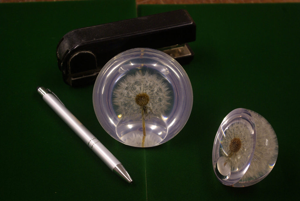 Dandelion Paperweight (Two Sizes Available)