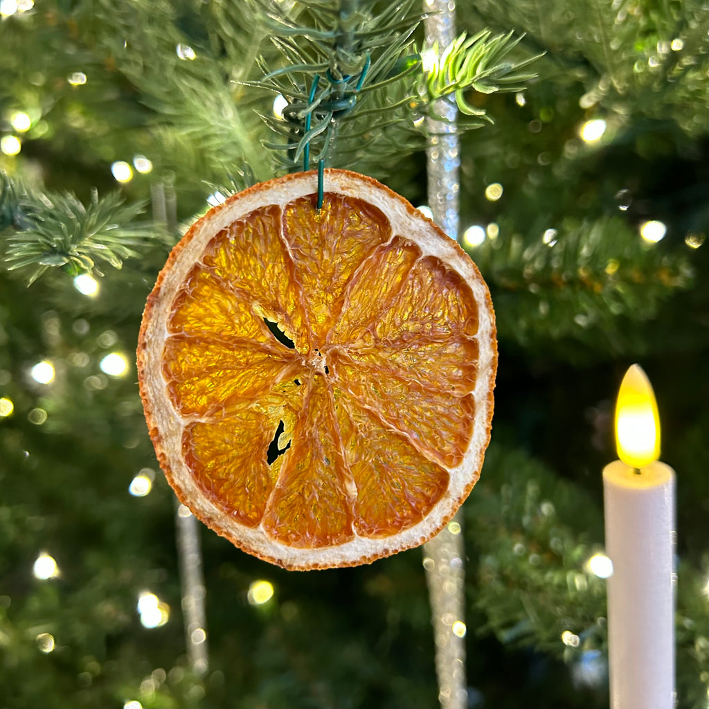 Dried Orange Slices (Pack of Ten)