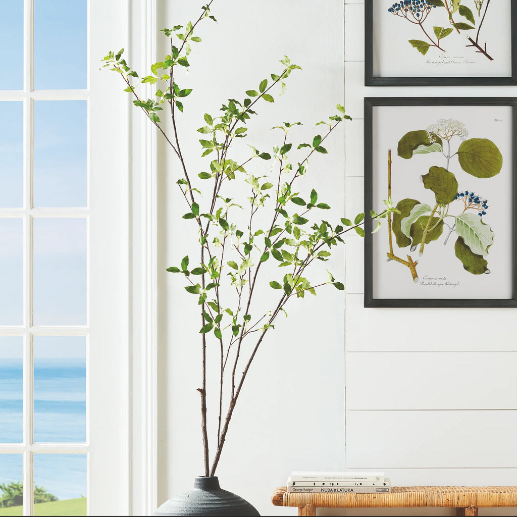 Pittosporum Branch - 78"