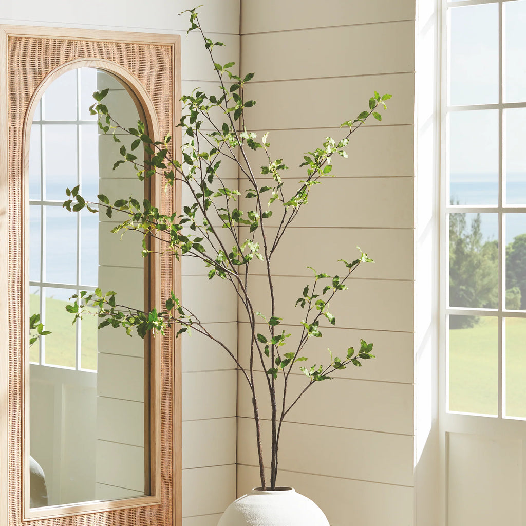 Pittosporum Branch - 78"