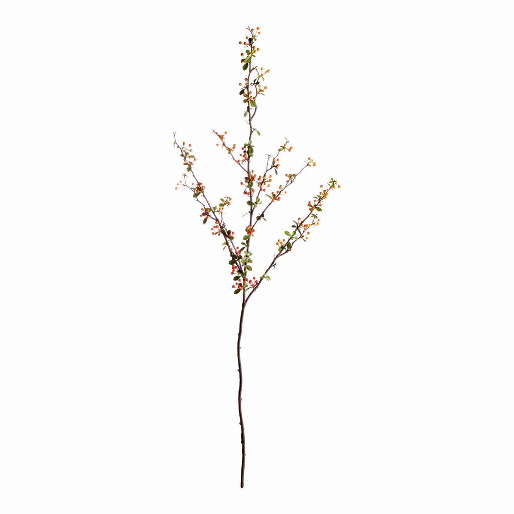Berry Branch - 48"