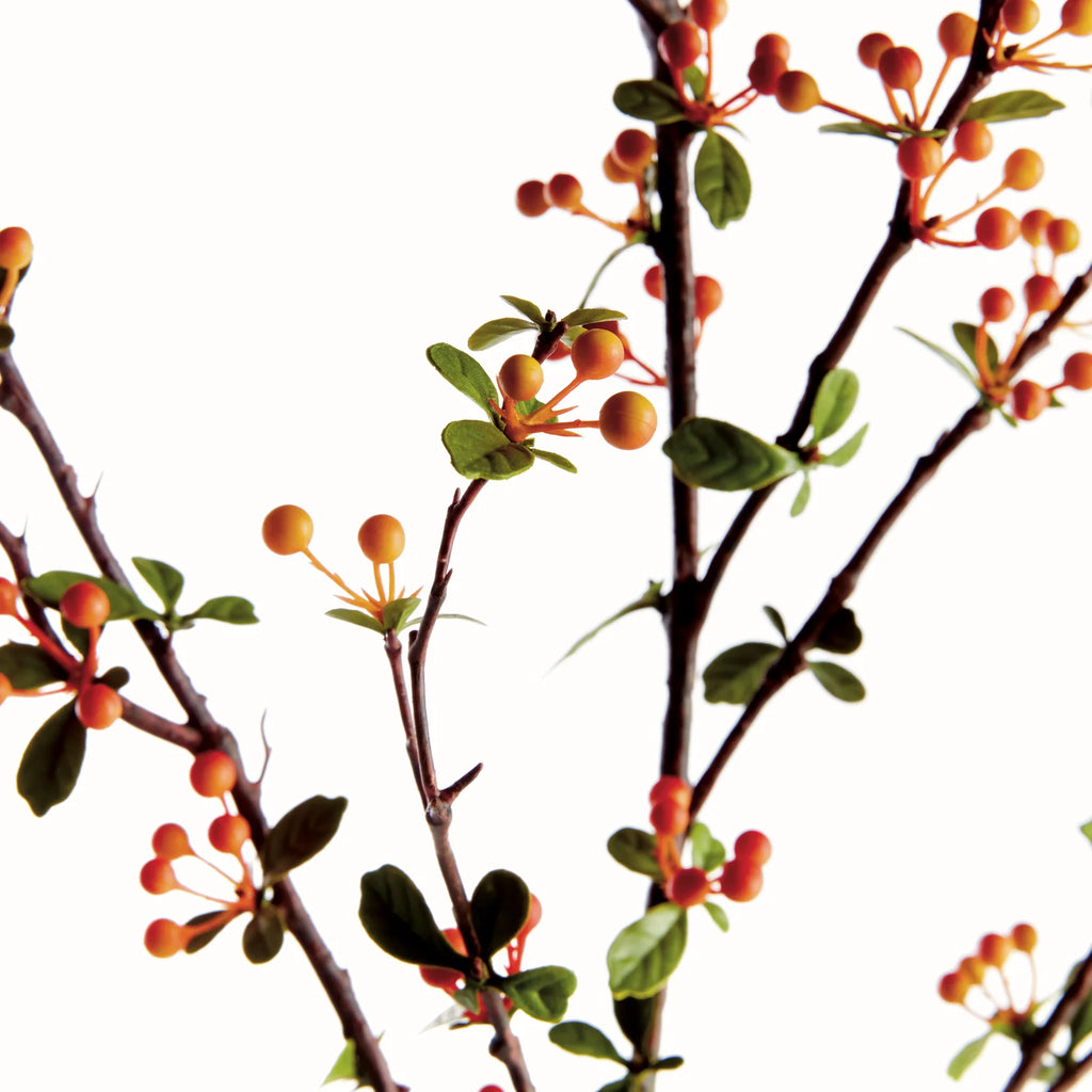 Berry Branch - 48"