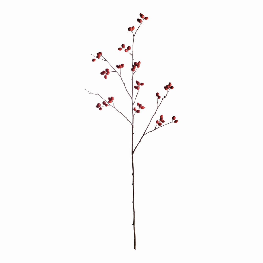 Rosehip Branch - 43"