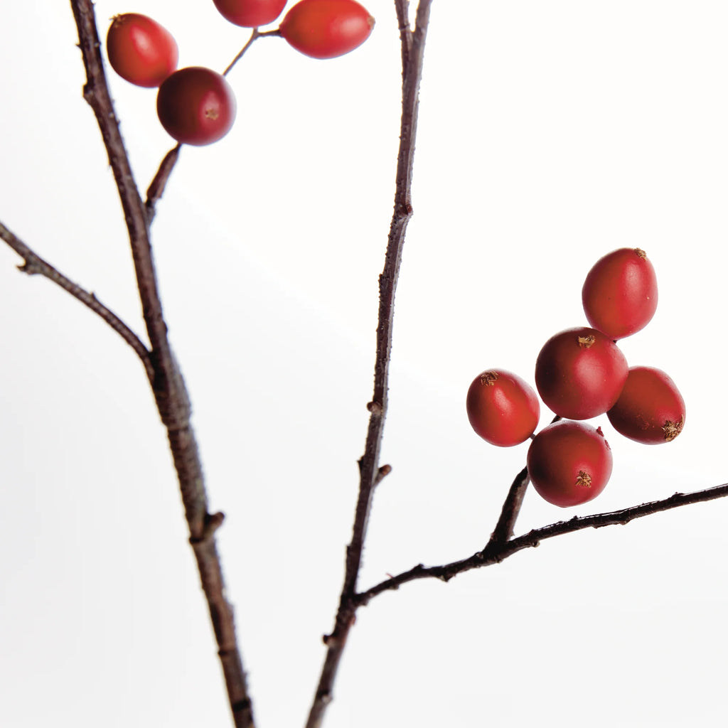 Rosehip Branch - 43"