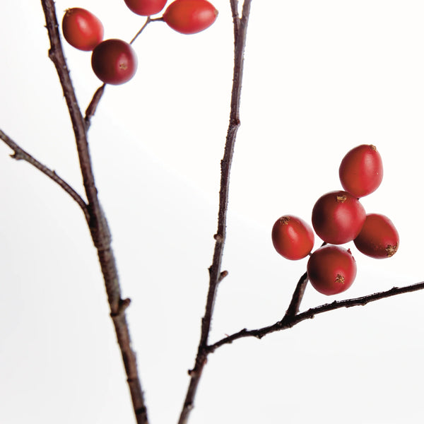 Rosehip Branch - 43"