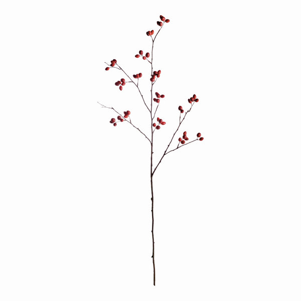 Rosehip Branch - 43"