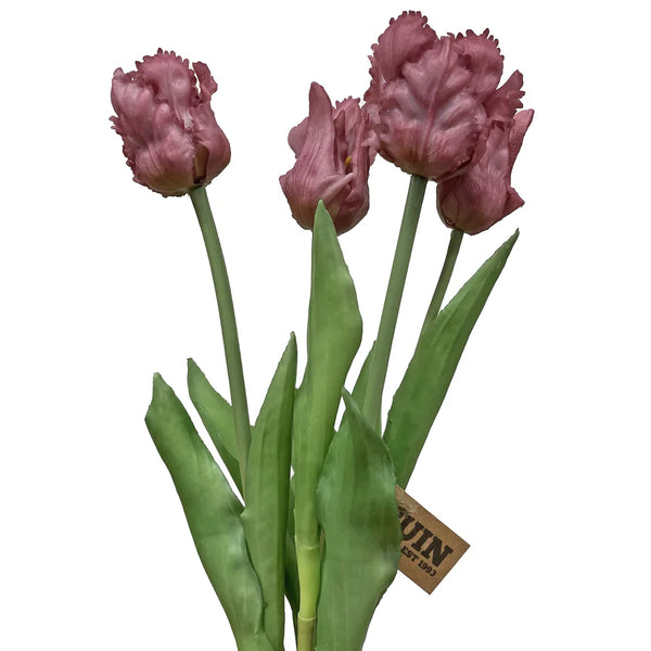 Tulip Bundle - Purple