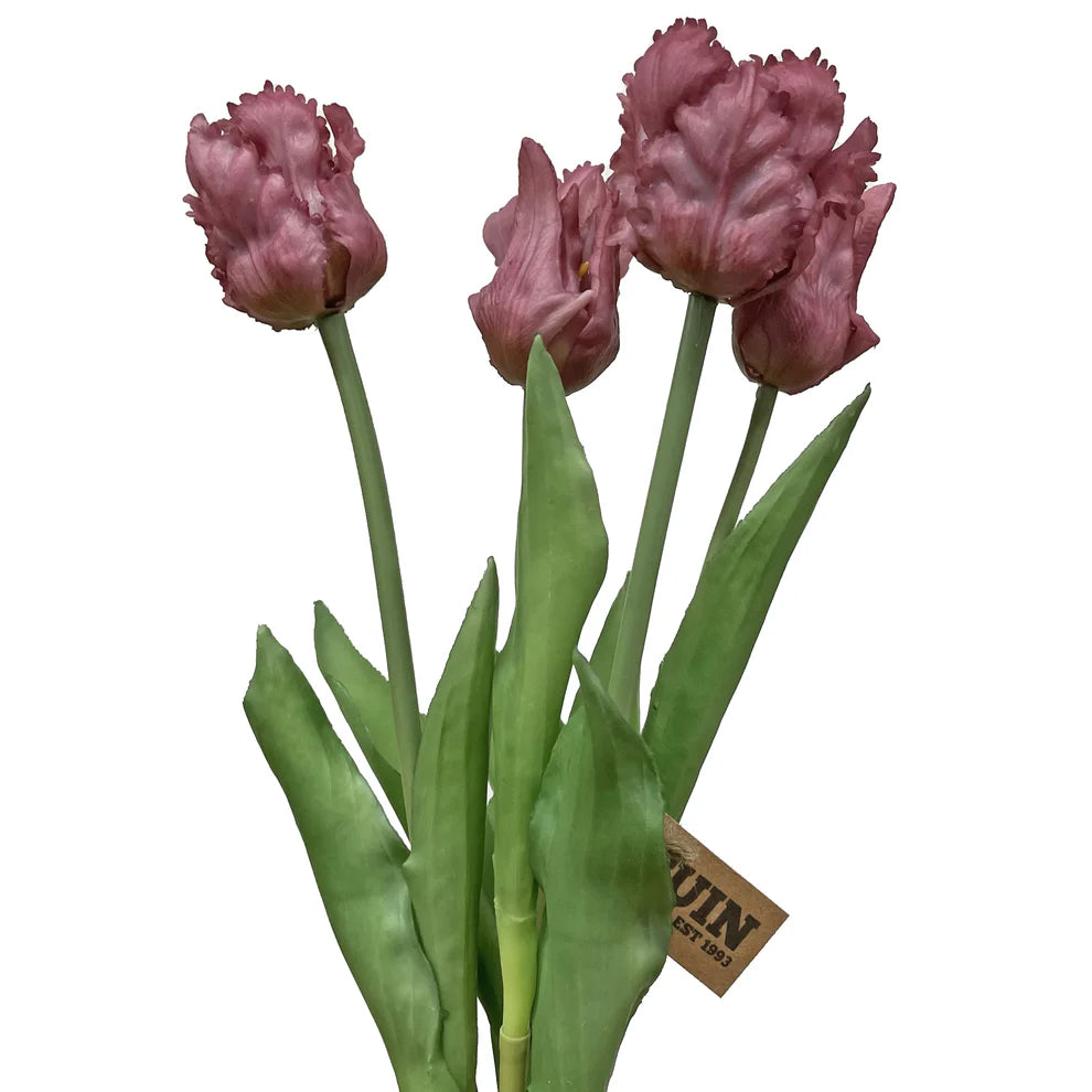 Tulip Bundle - Purple