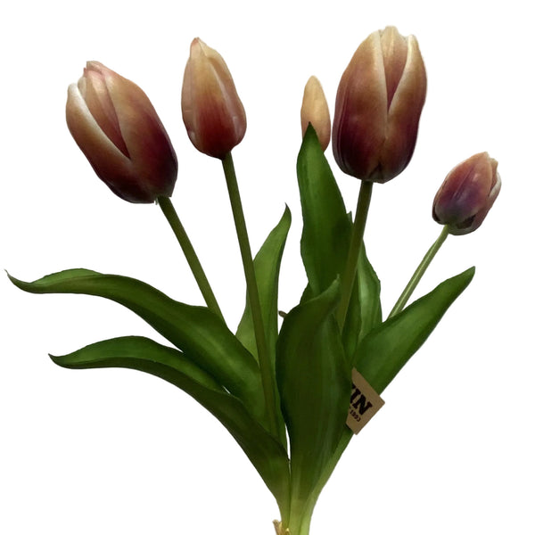 Tulip Bundle - 5 Stems (Two Colours Available)