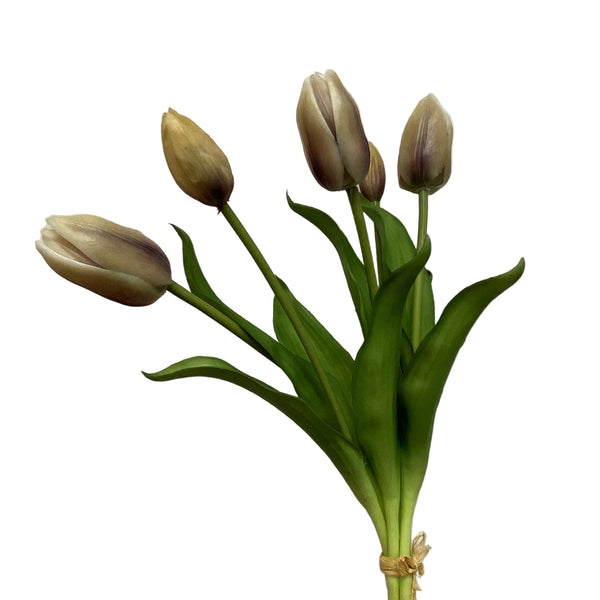 Tulip Bundle - 5 Stems (Two Colours Available)