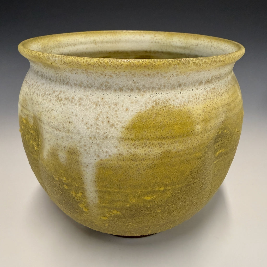 Wide Neck Vase - Medium