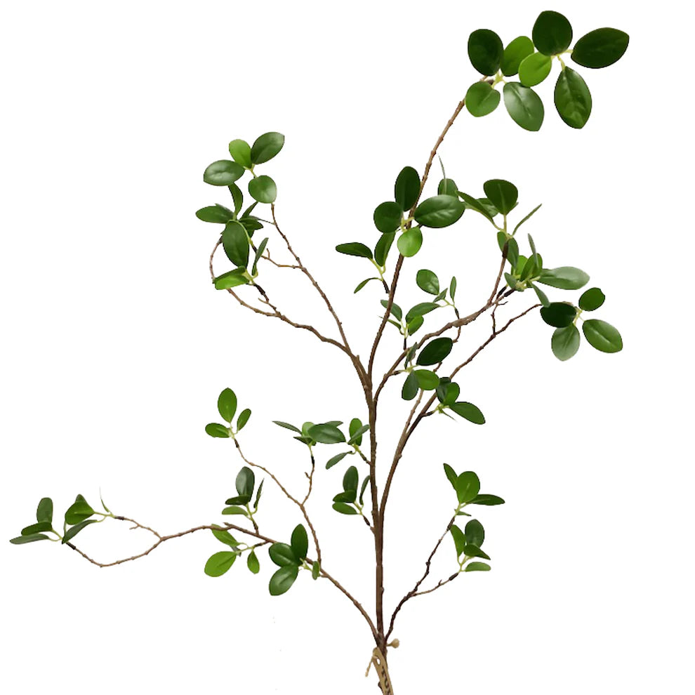 Mini Ficus Leaf Branch 37"