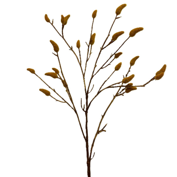 Autumn Willow Stem