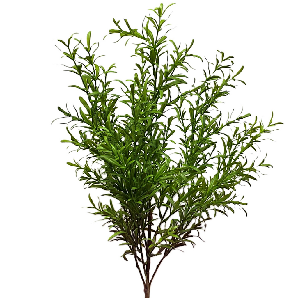 Rosemary Bush - 24" H