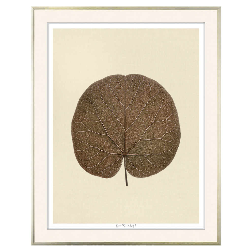 Round Leaf - Cocoa (Two Sizes Available)