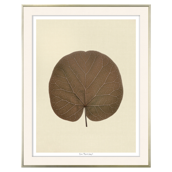 Round Leaf - Cocoa (Two Sizes Available)