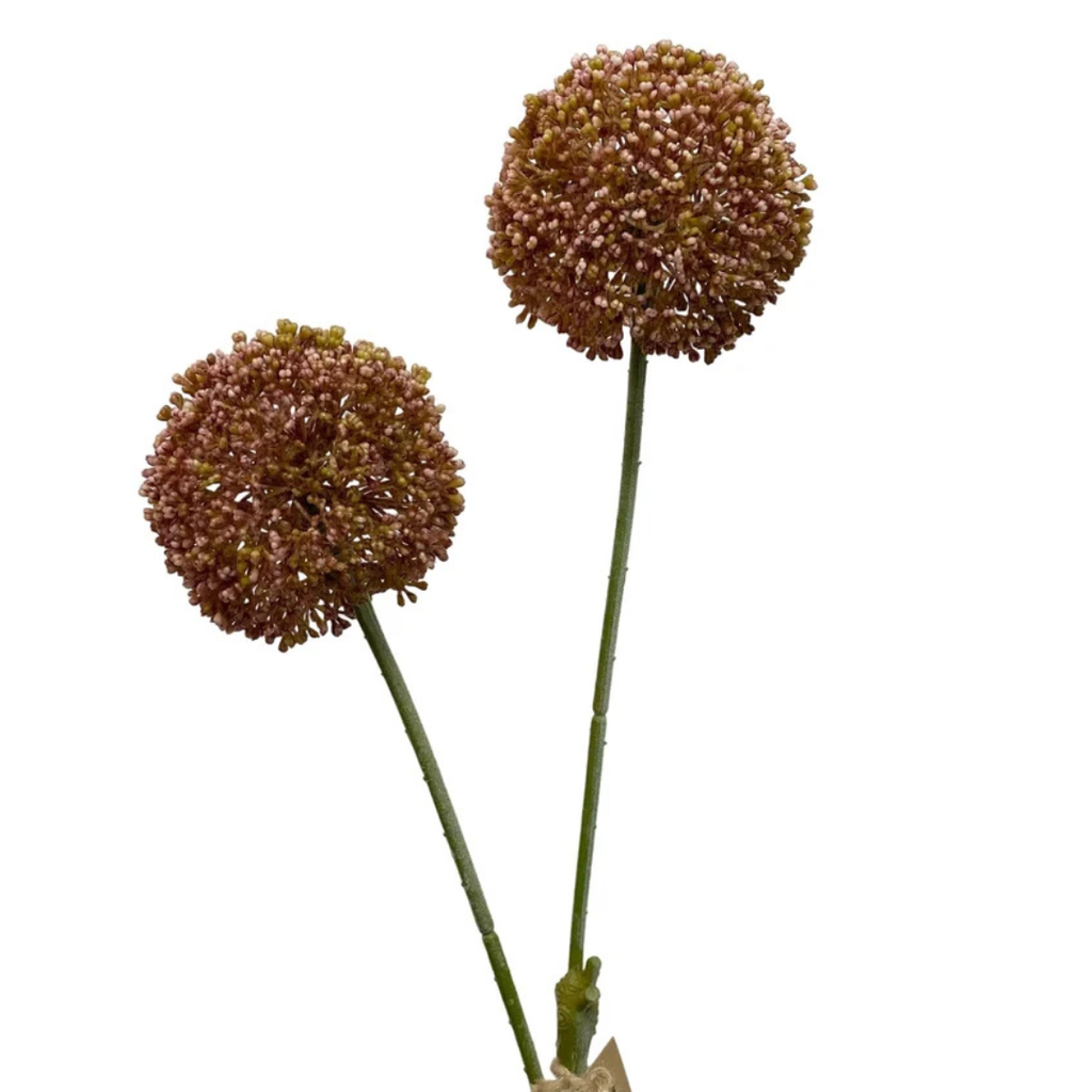 Allium Stem - Mauve
