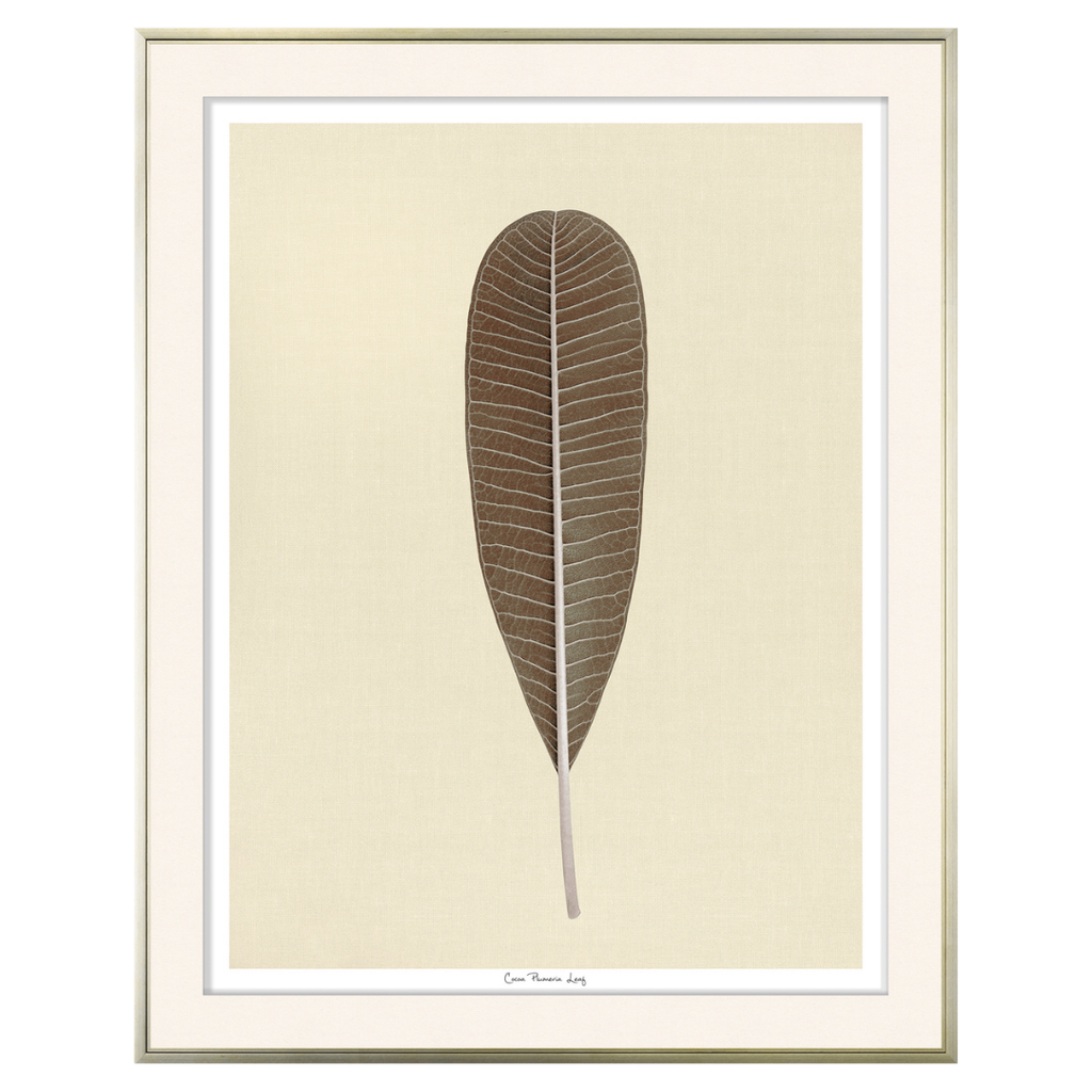 Plumeria Leaf - Cocoa (Two Sizes Available)