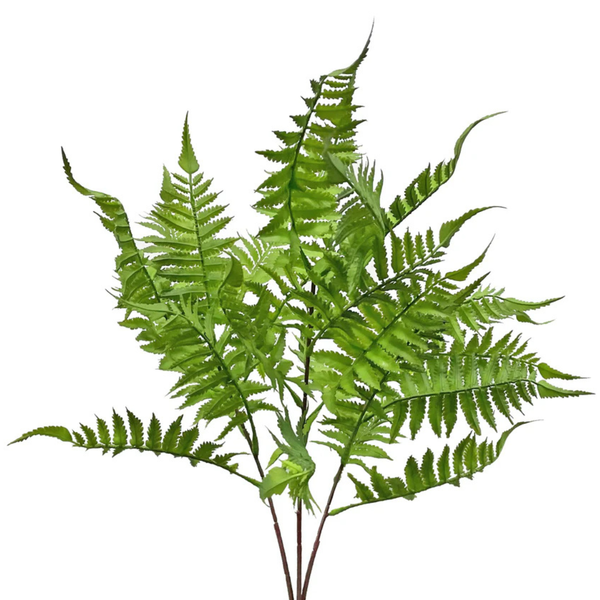 Fern Stem - 31"H