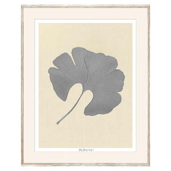 Ginkgo Leaf - Grey (Two Sizes Available)