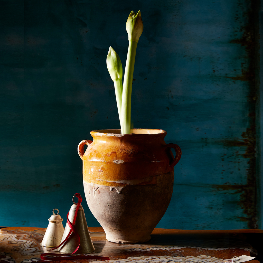 Distressed Bells (Three Sizes Available)