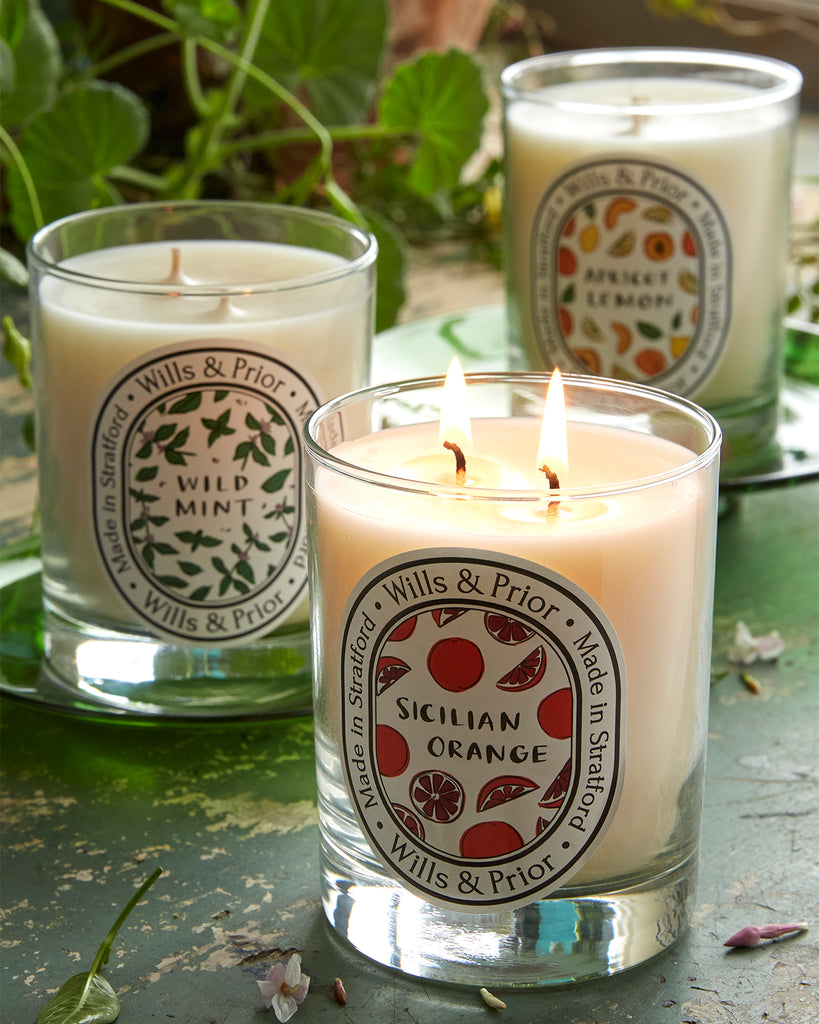 Wills & Prior Spring Candle Collection - Seven Scents Available