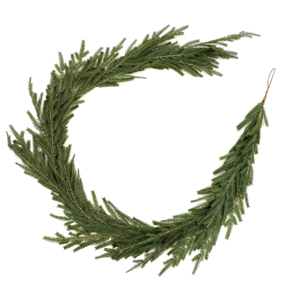 Norfolk Pine Garland - Fine