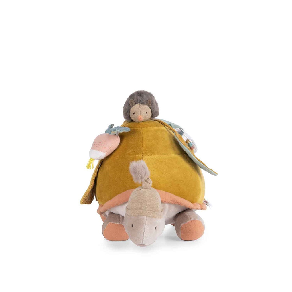 Activity Turtle - Large