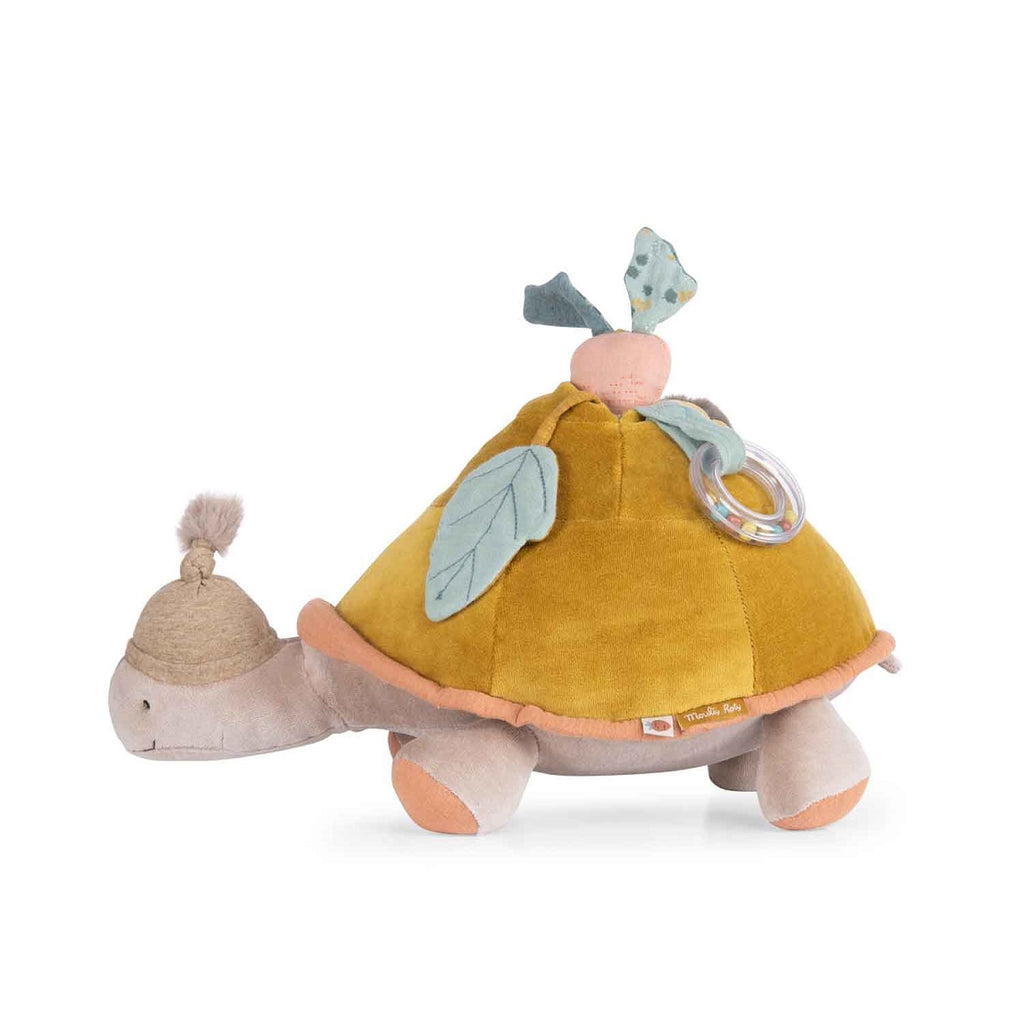 Activity Turtle - Large