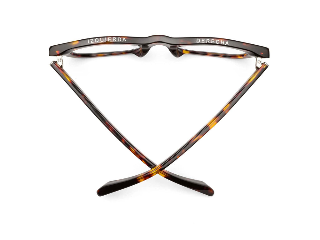 Caddis Sunglasses - D28 Turtle