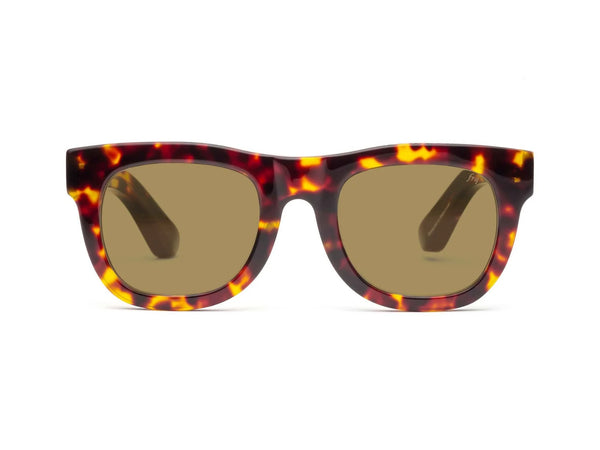 Caddis Sunglasses - D28 Turtle