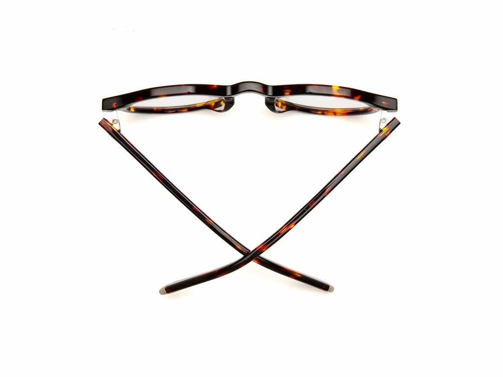 Caddis Readers - Dogleg Turtle