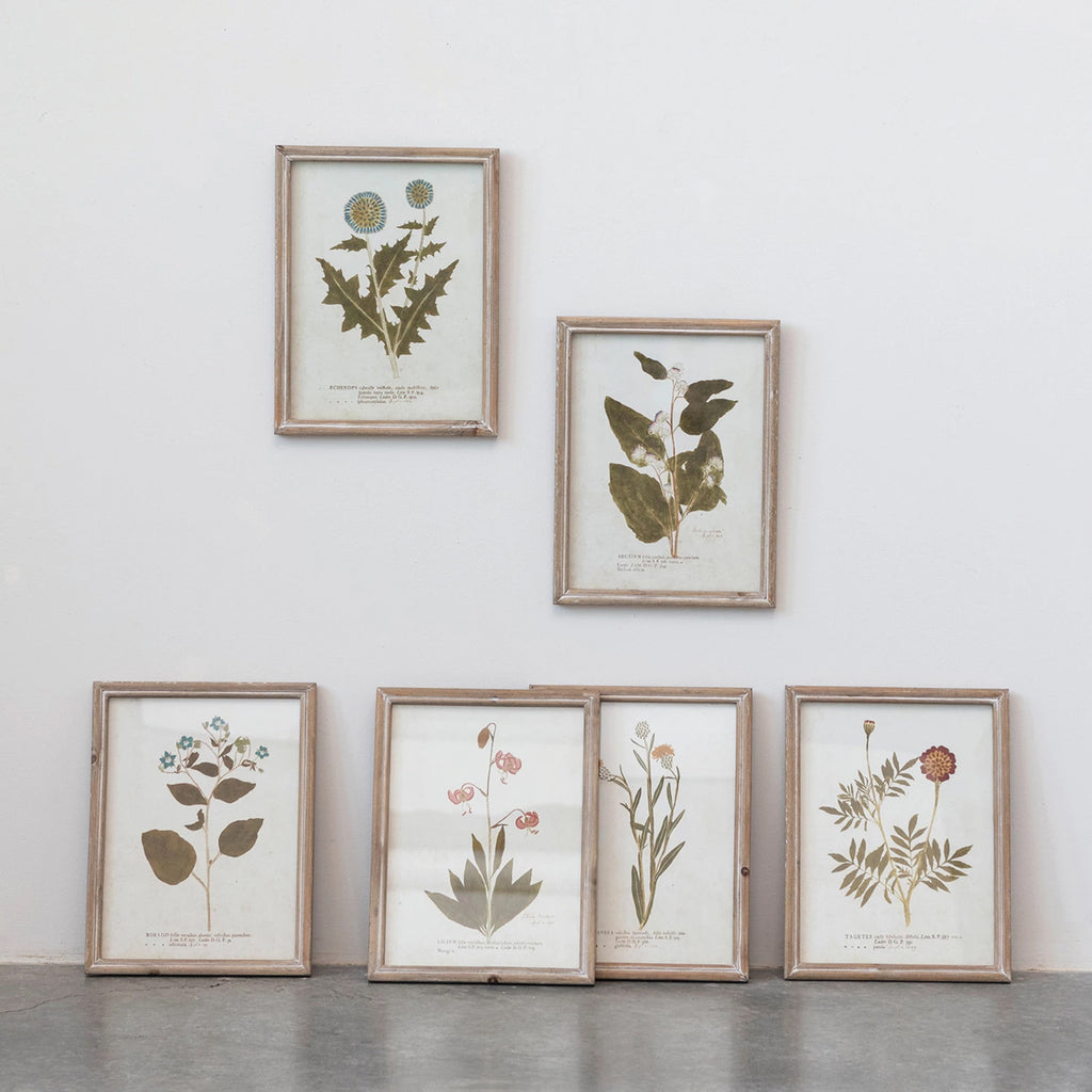 Framed Wildflower Prints - Six Styles Available