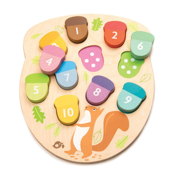 Counting Acorns Toy