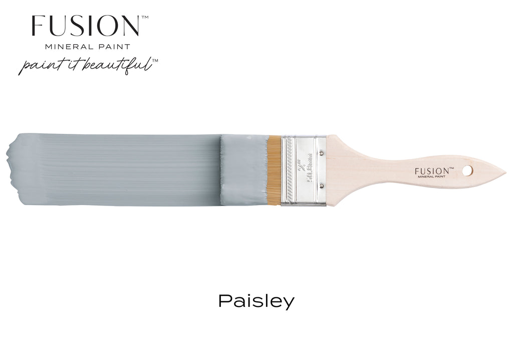 Fusion Paint: Paisley (Two Sizes Available)