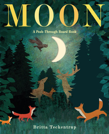 Moon: A Peek-Through Picture Board Book